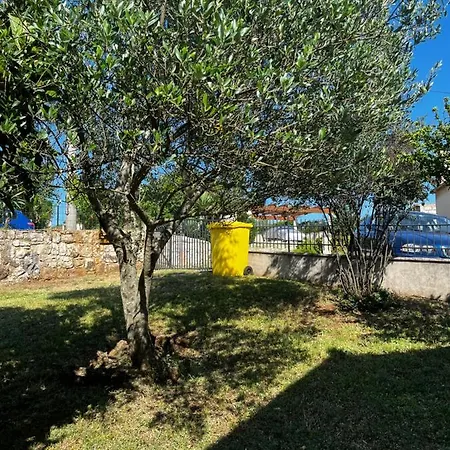 Appartement Erika *